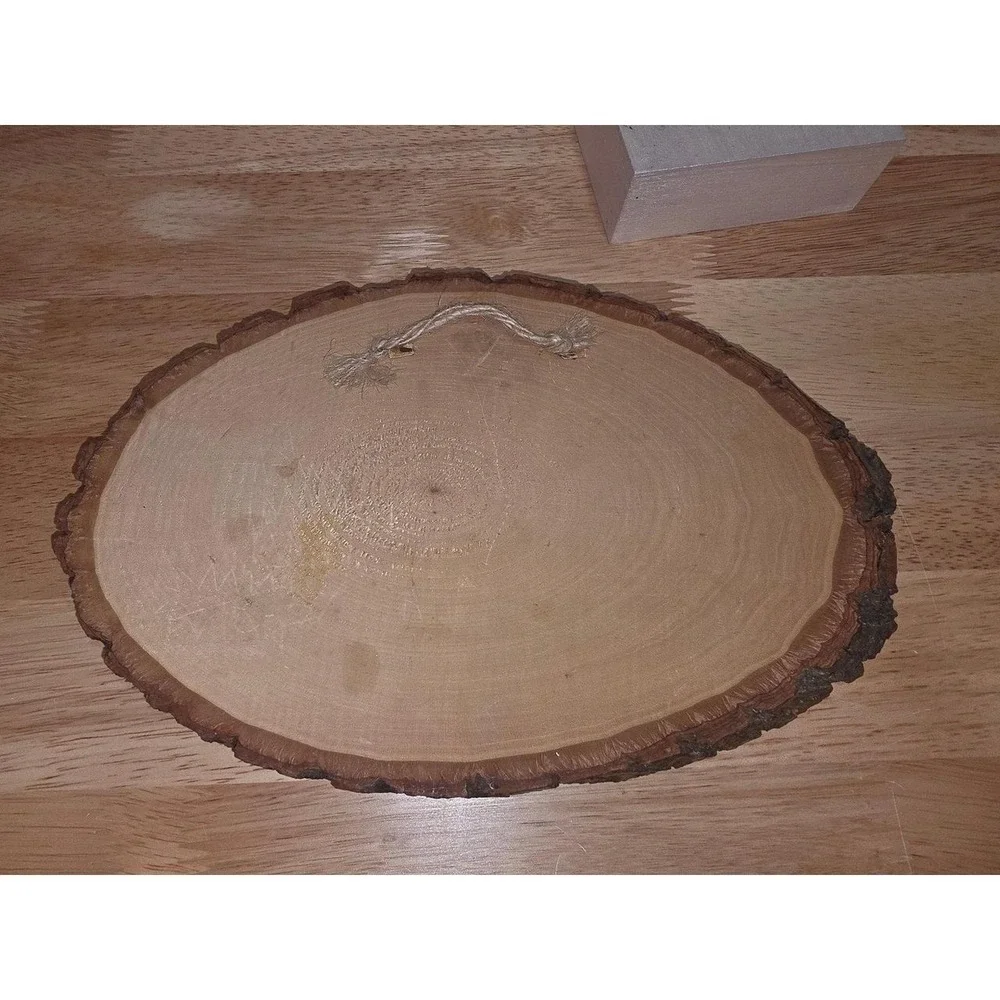 decoupaged craft plaque featuring a brown and white pinto horse on an oval wood
